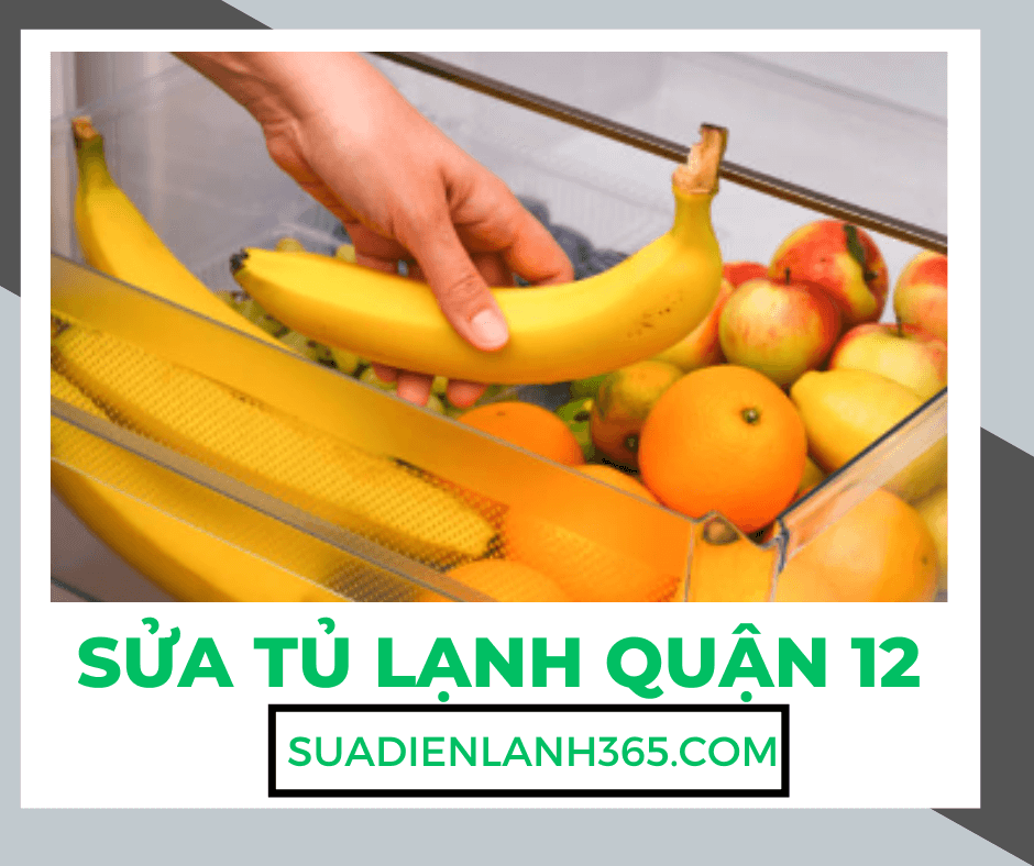 Sửa Tủ Lạnh Quận 12