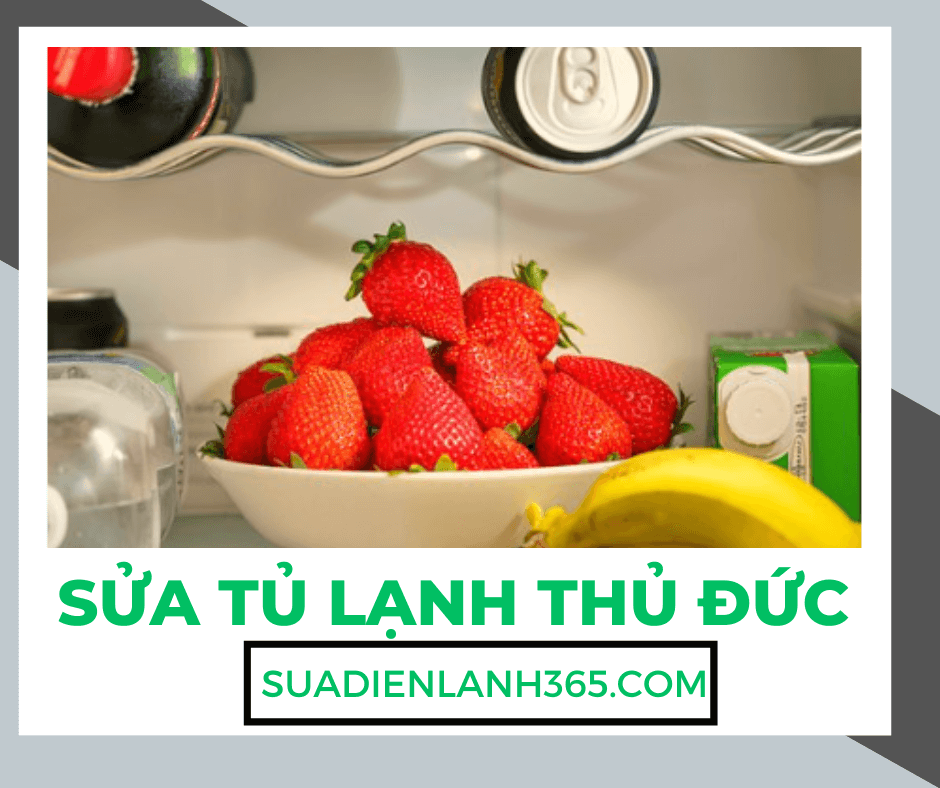 Sửa Tủ Lạnh Thủ Đức