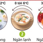 Bảo quản rau củ trong tủ lạnh