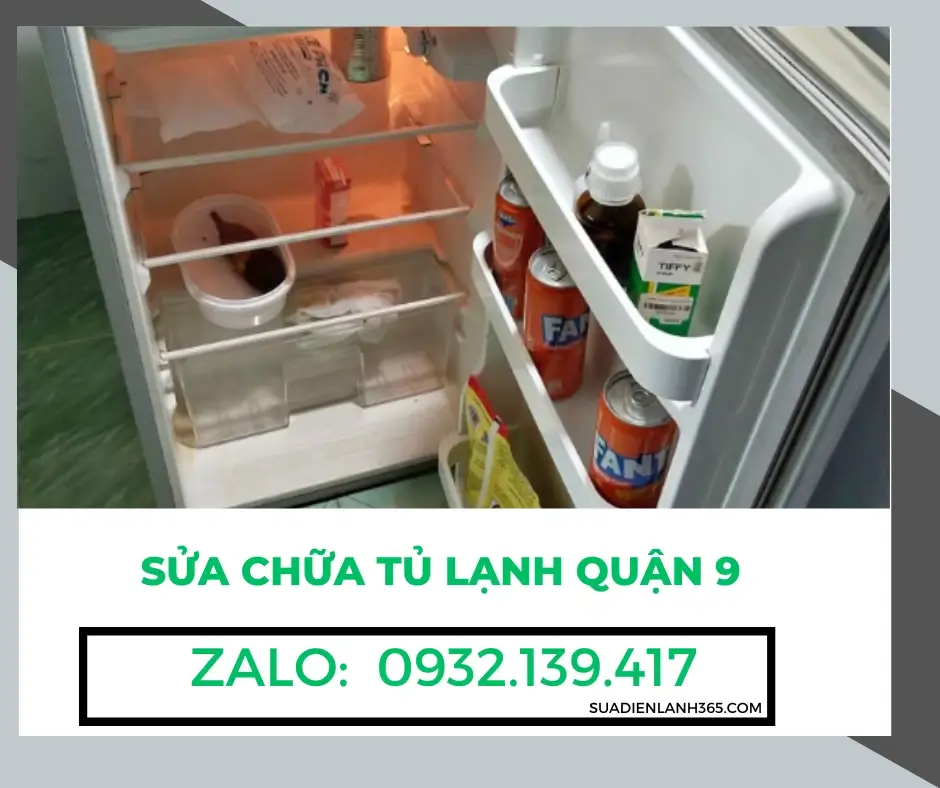 Sửa Chữa Tủ Lạnh Quận 9