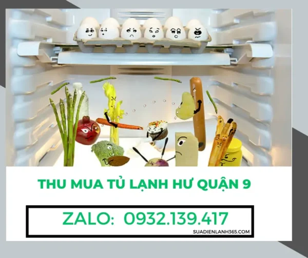 Thu mua tủ lạnh hư Quận 9