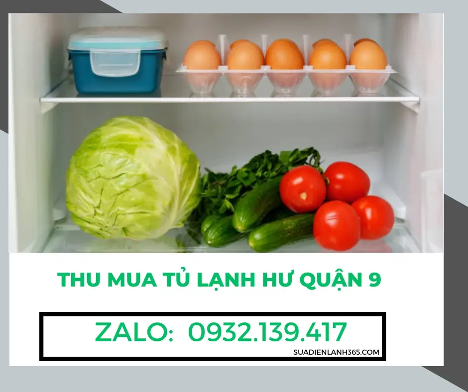 Thu mua tủ lạnh hư Quận 9