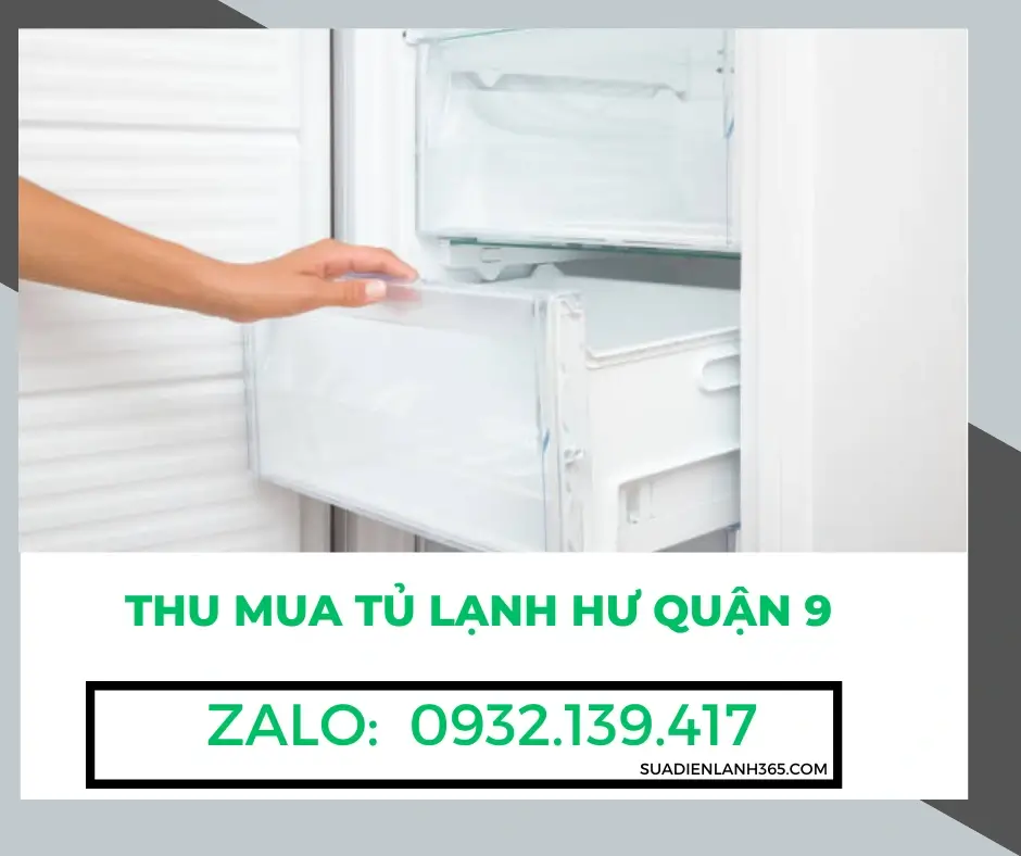 Thu mua tủ lạnh hư Quận 9