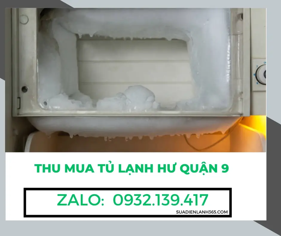 Thu mua tủ lạnh hư Quận 9
