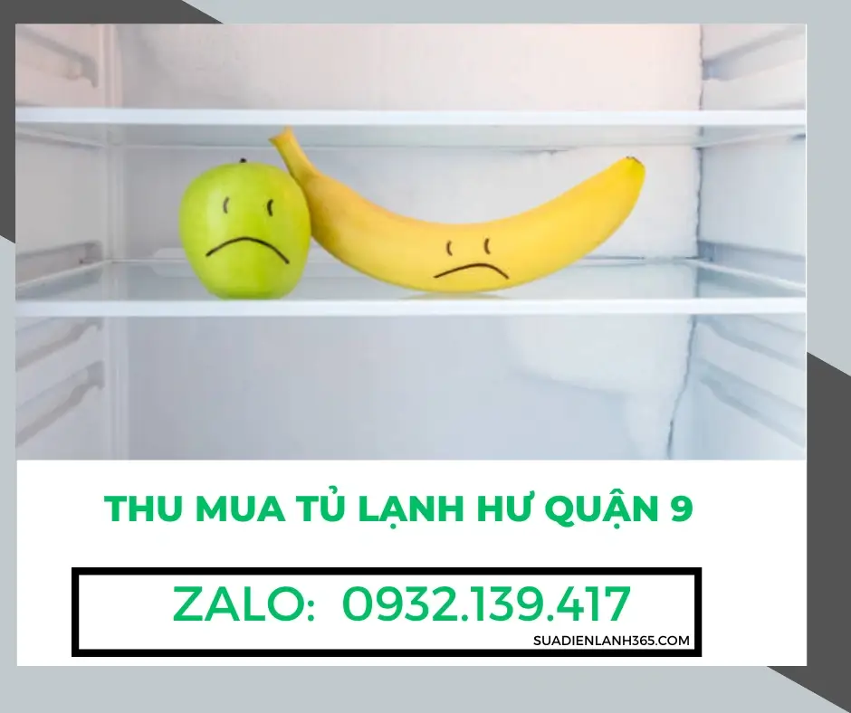Thu mua tủ lạnh hư Quận 9