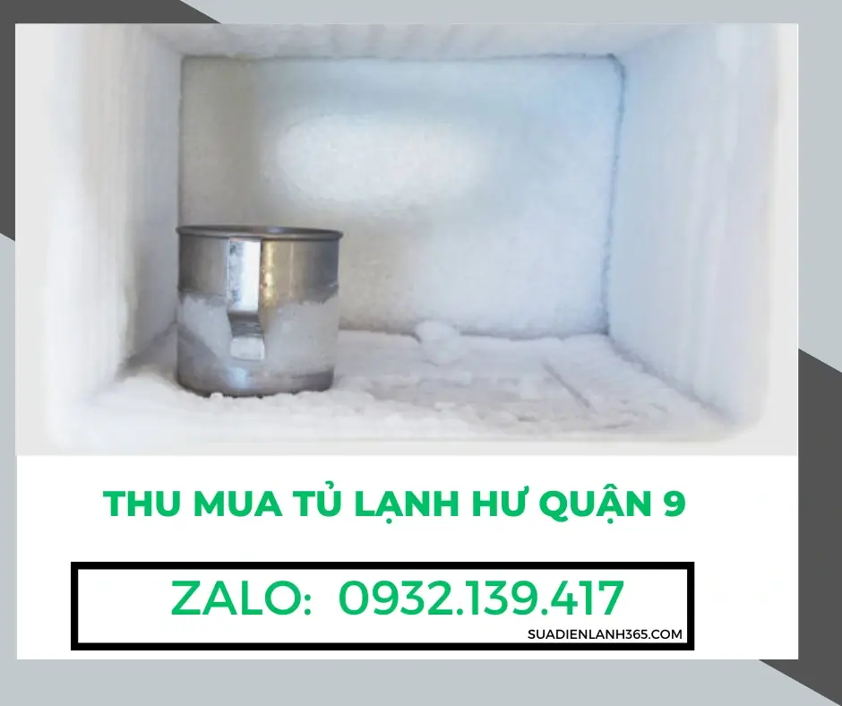 Thu mua tủ lạnh hư Quận 9
