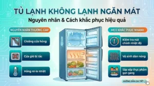 Tủ Lạnh Không Lạnh Ngăn Mát